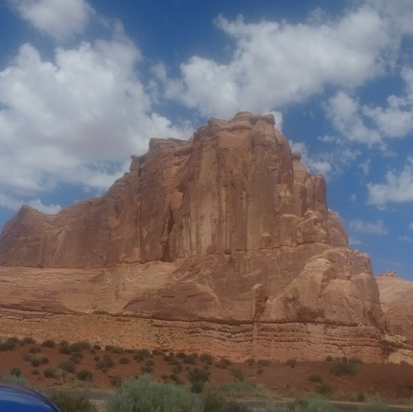 Meet your Posher, Kasondra - Picture 1 of 1